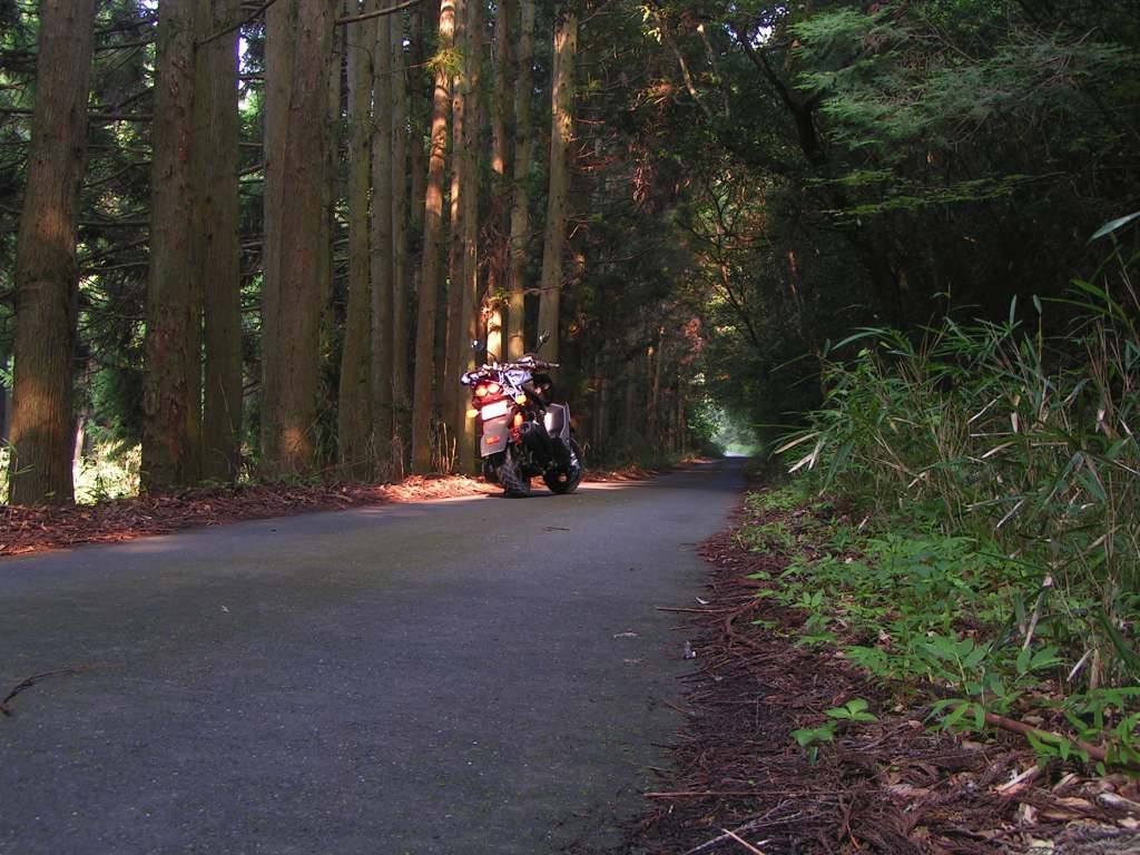 c0001613_11303161.jpg