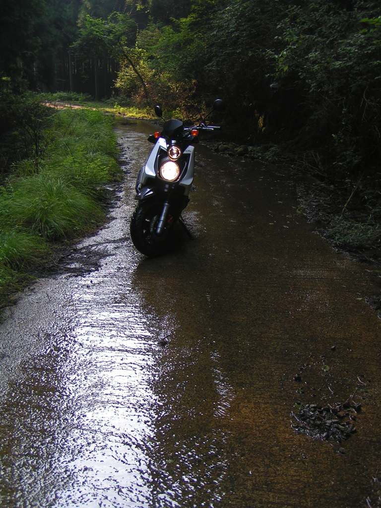 c0001613_11304110.jpg