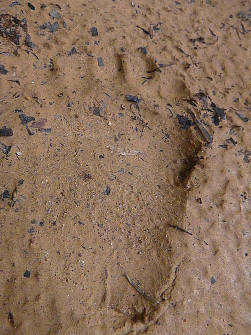 a0236914_1455188.jpg