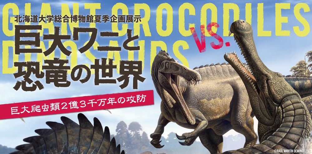 理科教育学会と博物館企画展示「ワニと恐竜」_c0025115_22142947.jpg