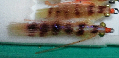 b0259124_93125.jpg