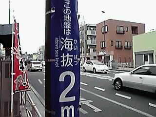 a0078827_7121647.jpg