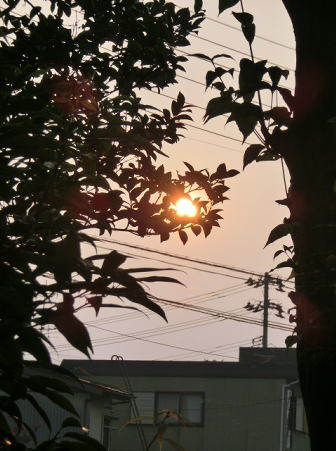 f0009028_105607.jpg
