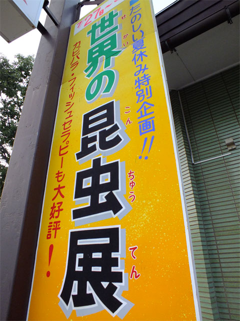 激・闘もろこし_a0179837_1801842.jpg