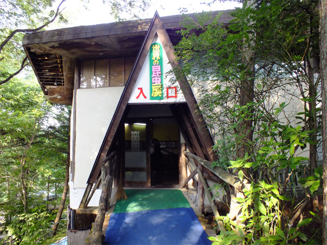 激・闘もろこし_a0179837_1815729.jpg