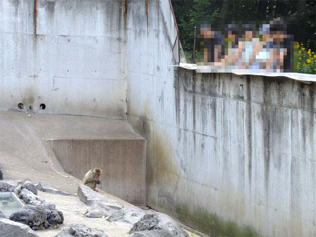 激・闘もろこし_a0179837_18242248.jpg