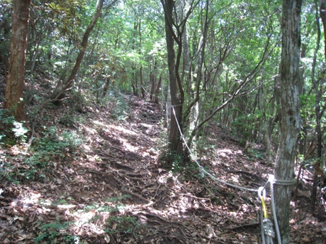 c0077338_8482615.jpg