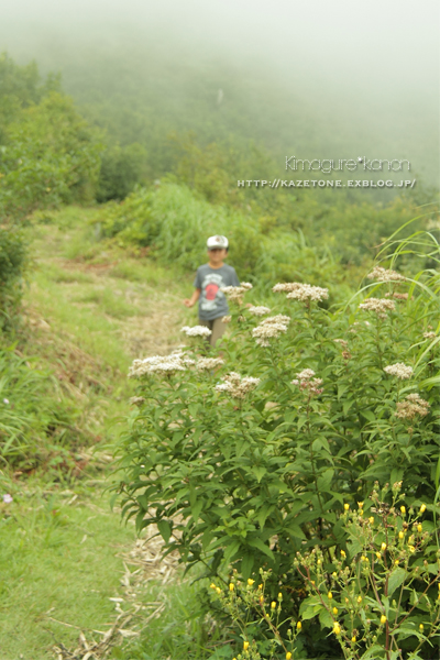 降っても　晴れても　in 吾妻山_b0197639_17305920.jpg