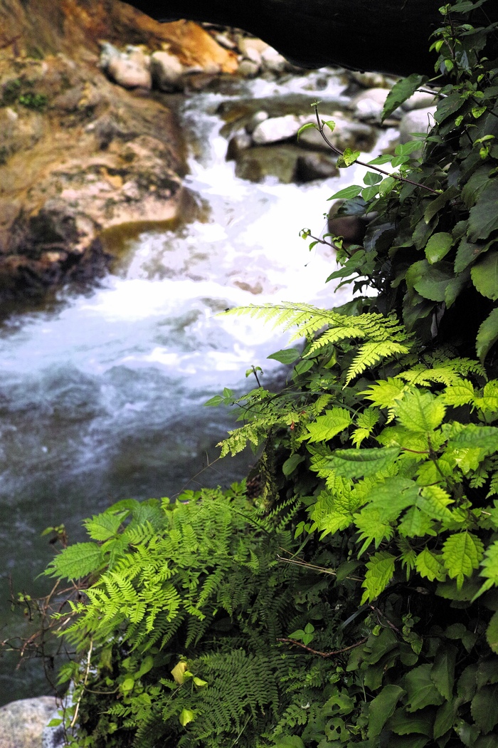 d0237340_13213496.jpg