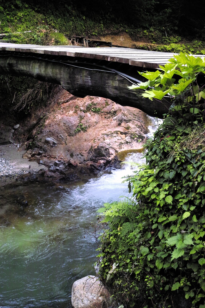 d0237340_1321817.jpg