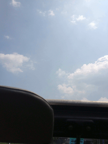 a0026445_11403437.gif