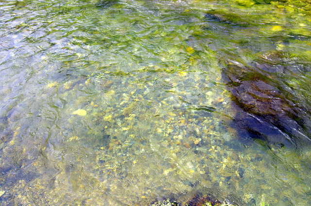 d0186245_2250684.jpg