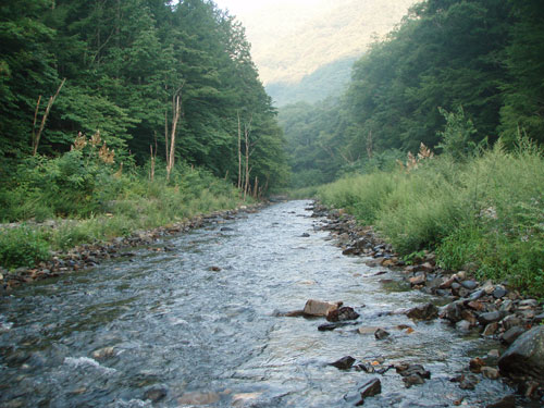 e0201348_23372041.jpg