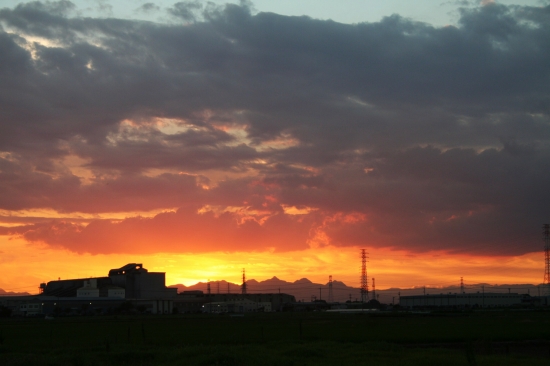 e0126350_1261960.jpg