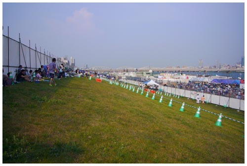 第25回 なにわ淀川花火大会　パノラマシート・レポート_d0104052_1048959.jpg