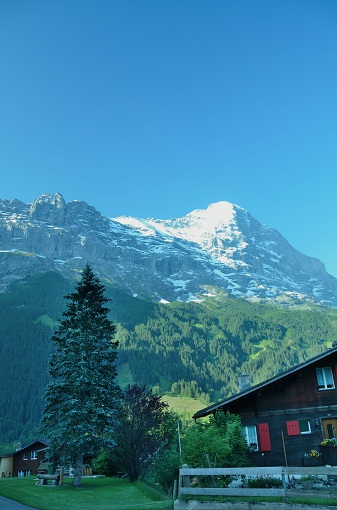 e0284355_20521987.jpg