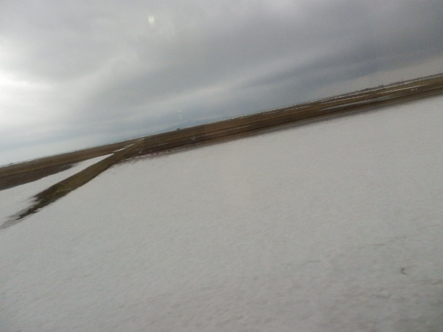 c0128960_1136261.jpg