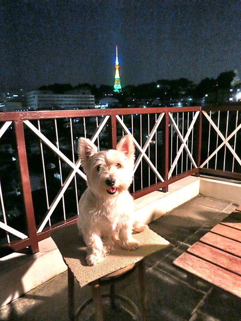 おばあちゃんは、特別?_c0260460_6301797.jpg