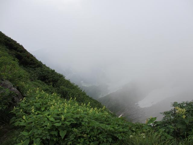 c0260463_11122233.jpg
