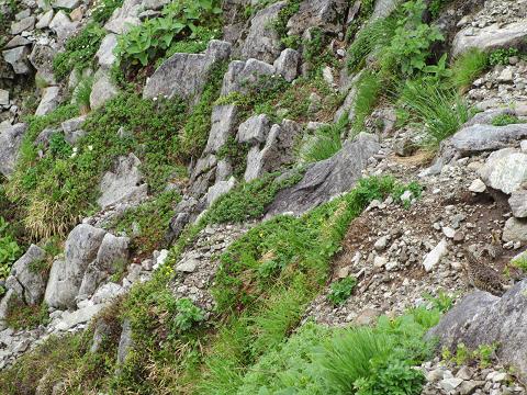 c0260463_1136071.jpg