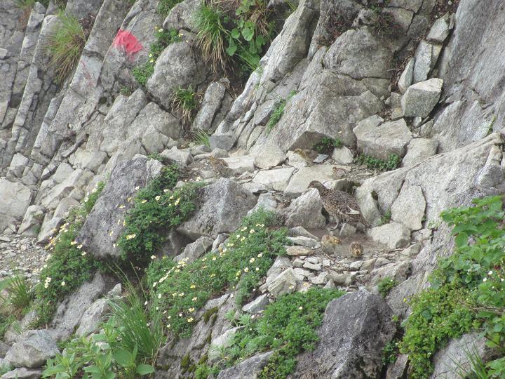 c0260463_11363883.jpg