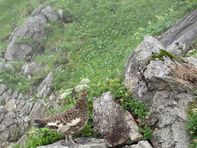 c0260463_11373575.jpg