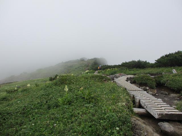 c0260463_11393937.jpg