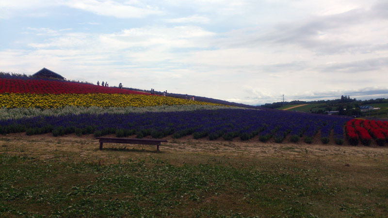 c0060076_2131652.jpg