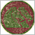 e0040579_4443743.png