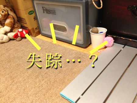 f0091785_17391469.jpg