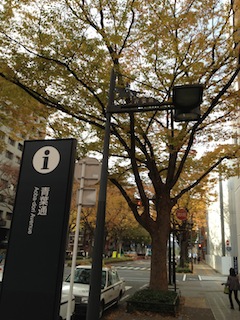 f0008686_1041860.jpg