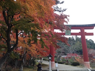 f0008686_9525496.jpg