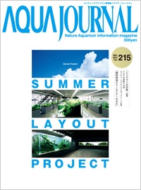 入荷情報&お知らせ_c0203392_15263421.jpg