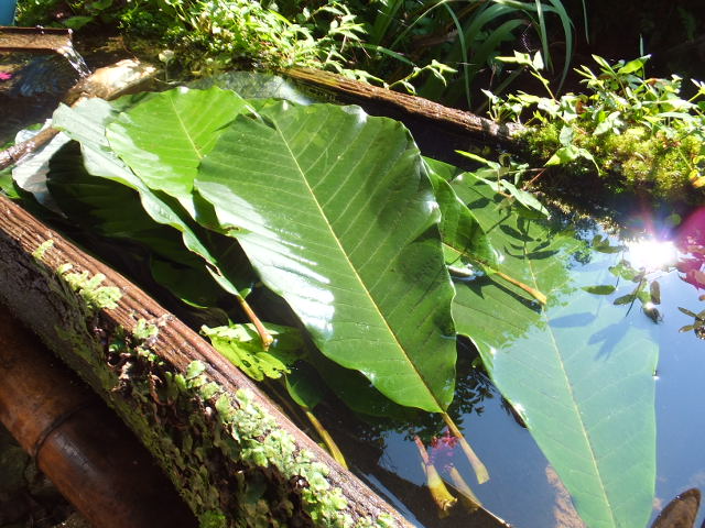 a0271502_10223658.jpg