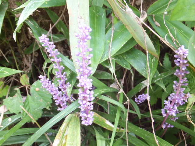 a0271502_13412860.jpg