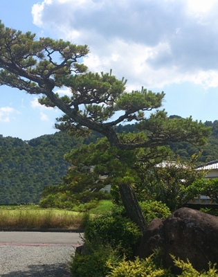 e0289203_10515378.jpg