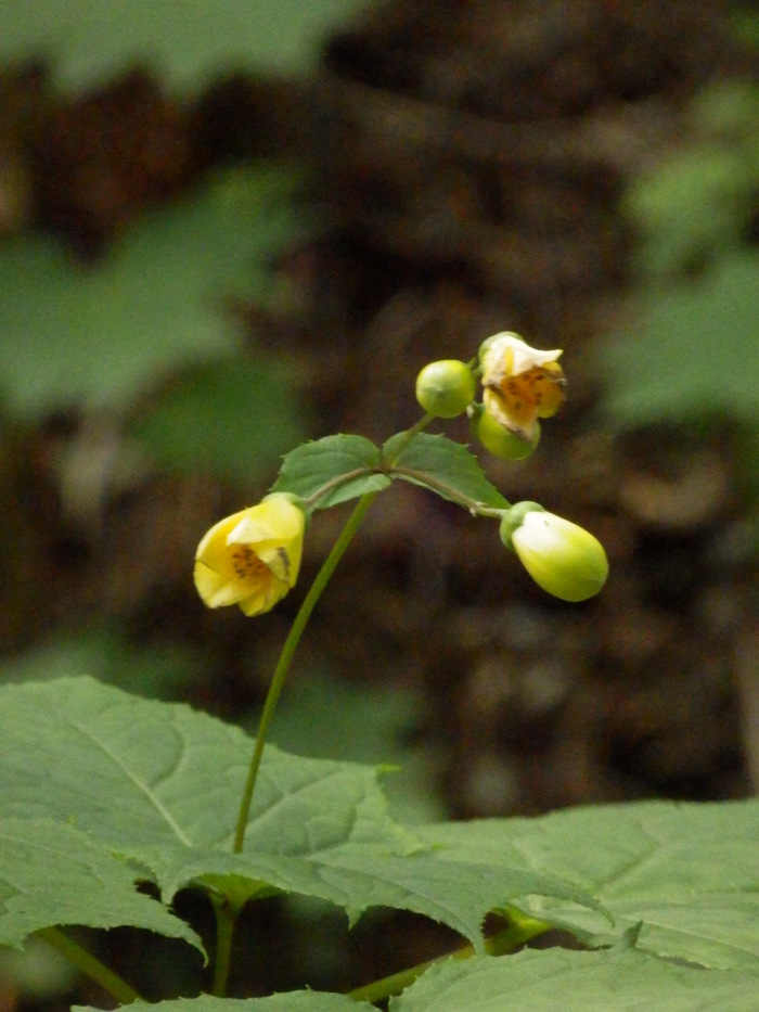 f0219710_14133038.jpg