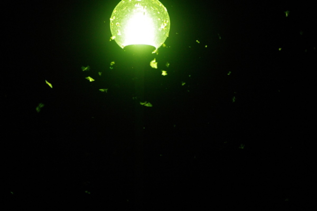 e0142611_1213247.jpg