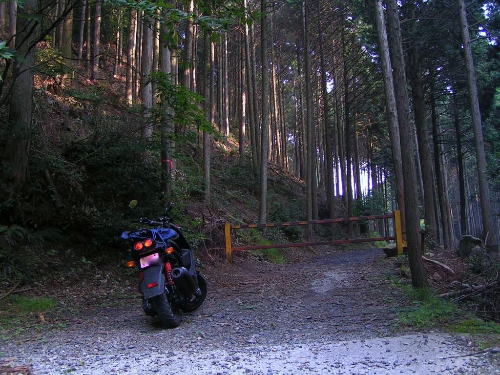 c0001613_6153132.jpg