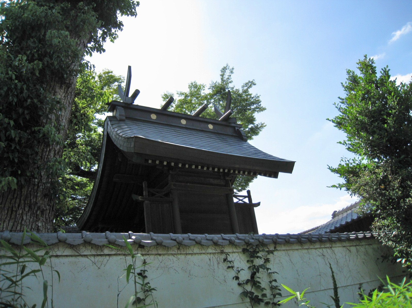 d0287413_14253983.jpg