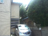 空き家の金木犀が大きく成長して 隣家にも道路にも張り出しており対策をと相談 藤原みち子の活動日記