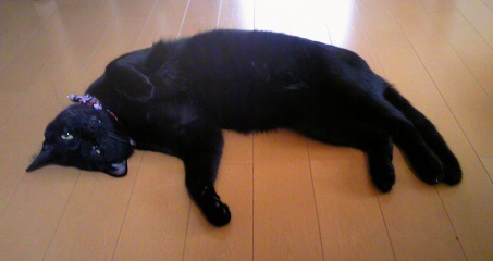 c0280322_1412761.jpg
