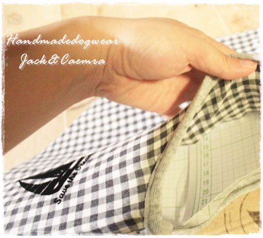 手作りエリザベスカラー ハンドメイド犬服 Jack Camera