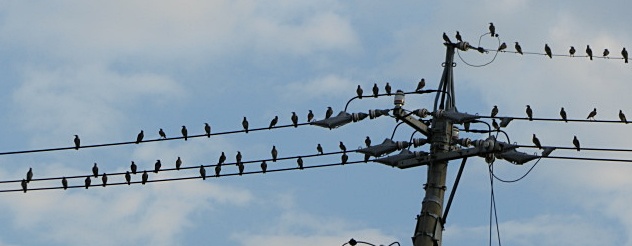 e0234924_11208.jpg