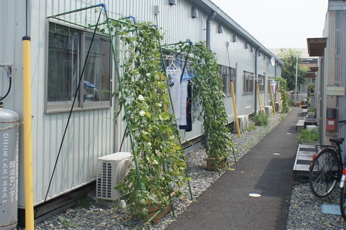 3年目の夏を迎えた仮設住宅_d0004728_10524287.jpg