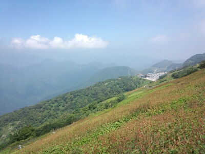 b0186130_21352181.jpg