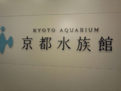 a0080833_18155639.jpg