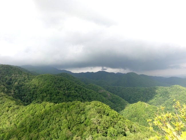 d0235336_21135460.jpg