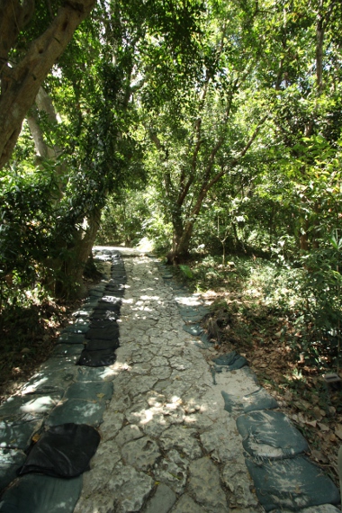 e0227942_00044.jpg