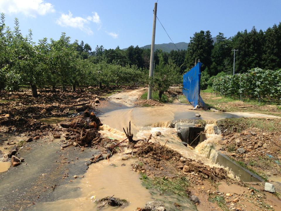 ８月9日の岩手県を襲った大雨被害の状況_b0199244_114558100.jpg